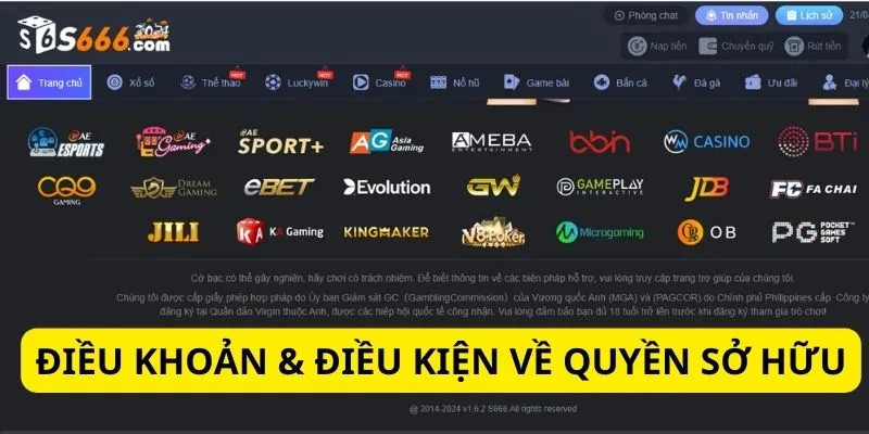 Điều khoản về quy định về quyền sở hữu